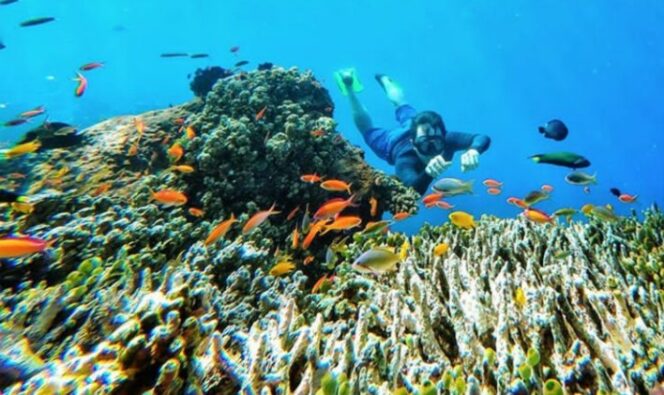 
					Program PEN Padat Karya Restorasi Terumbu Karang 2021