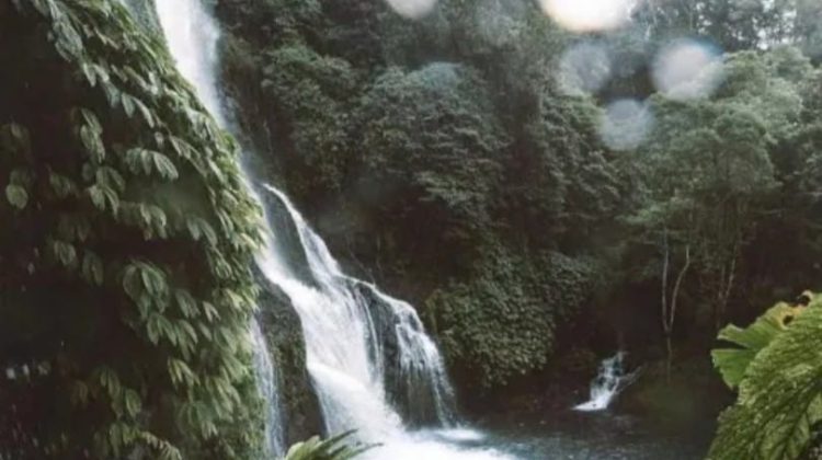 Air Terjun Banyumala Desa wisata Eksotis Yang Tersembunyi
