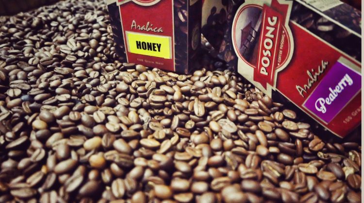 Perkuat Eksistensi Kopi Indonesia di Chicago