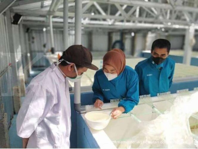 
					Peran BKIPM Makassar Untuk Menjaga Produk Perikanan