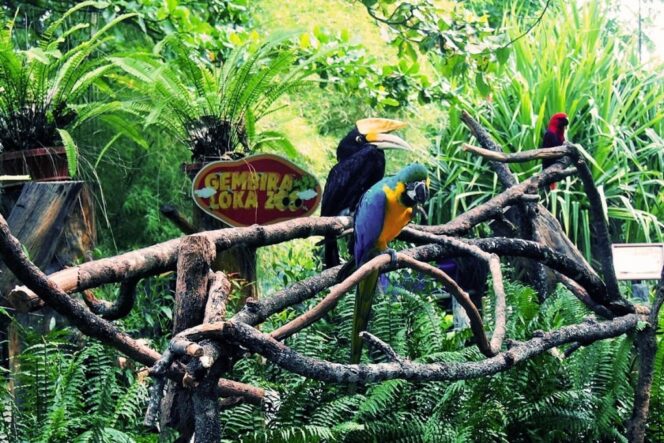 
					Destinasi Wisata di Yogyakarta Mulai Buka Uji Coba