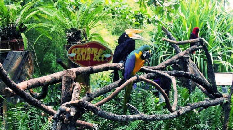 Destinasi Wisata di Yogyakarta Mulai Buka Uji Coba