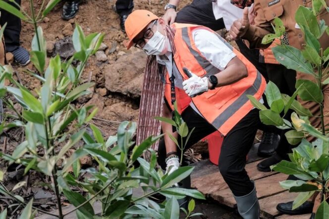 
					Menparekraf Tinjau Taman Wisata Mangrove Klawalu Pertama di Tanah Papua