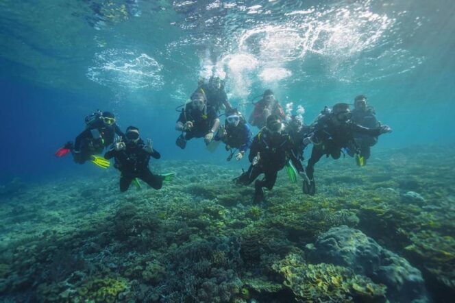 
					Jelajah Wisata Bawah Laut di Sawandarek Raja Ampat
