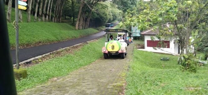 
					Asiknya Jelajah Kebun Kopi di Perkebunan Kopi Banaran