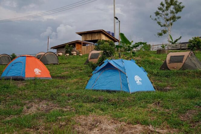 
					Resmikan Kampung Agrinex Ecotourism, Menparekraf Harapkan Hadirnya Solusi Penciptaan Lapangan Kerja