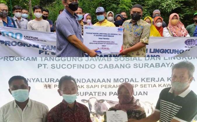 SUCOFINDO Dukung Peternak Sapi di Jawa Tengah & Jawa Timur Melalui Bantuan Modal