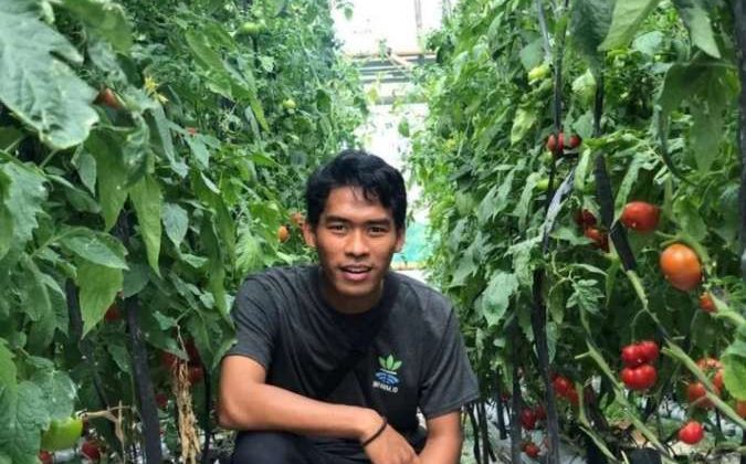 Lazada Peduli Lingkungan,Bercocok Tanam dan Berkebun Bersama Infarm