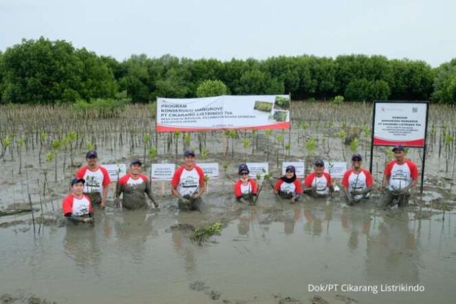 
					Cikarang Listrindo Menanam Mangrove di Muara Gembong