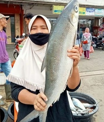 Bandeng Presto Sajian Pelengkap Saat Imlek