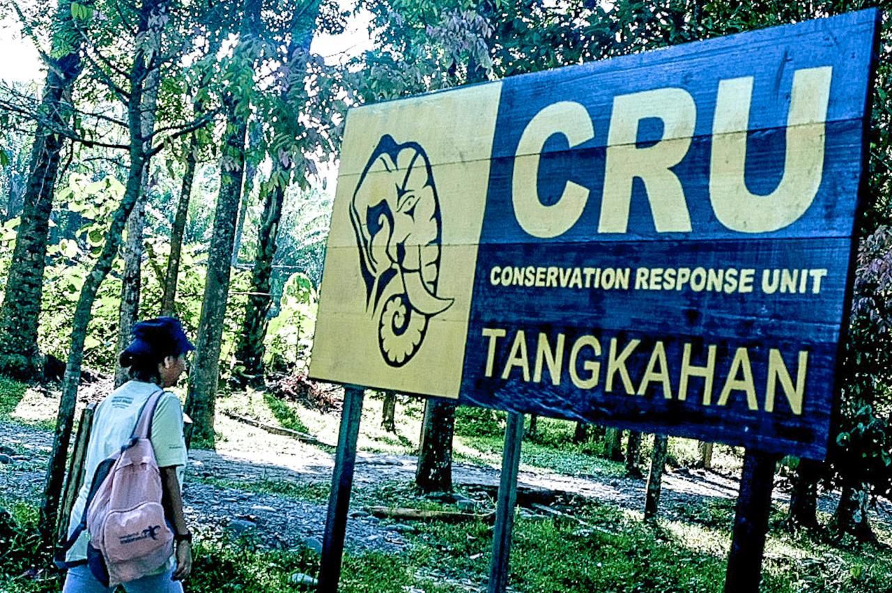Mengoptimalkan Sektor Parekraf Sumatera Utara Agar Buka Banyak Lapangan Kerja