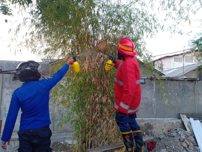 
					Foto Ilustrasi Petugas Rescue Dinas Pemadam Kebakaran Sedang Mengamkan Sarang Tawon 