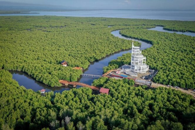 
					Tower Mangrove Forest Park Langsa Ikon Pariwisata Baru di Aceh
