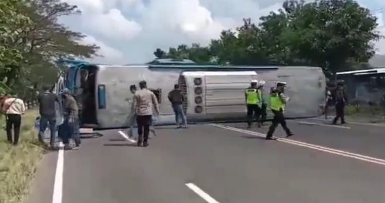 Hindari Pemotor, Bus AKAP Sugeng Rahayu Terguling