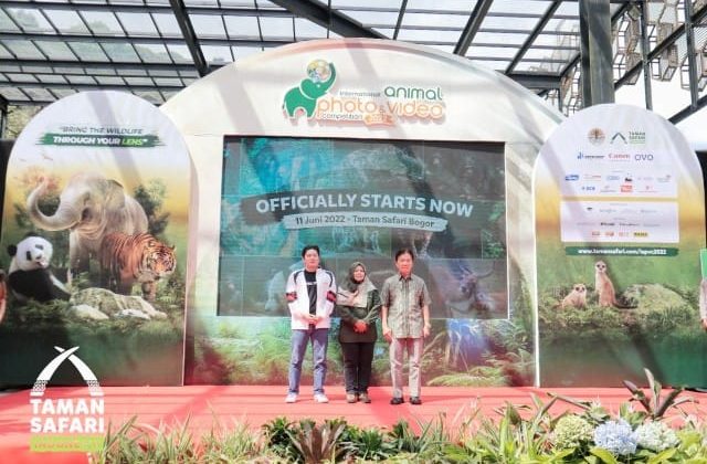 Ring Tail Lemur Satwa yang Menjadikan Juara Pertama
