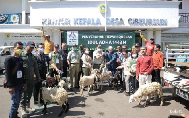 
					Taman Safari Indonesia Menyumbang 35 Kambing Kurban