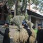 Sambut Hari Desa. Tingkatkan Kesadaran Pentingnya Pembangunan Desa