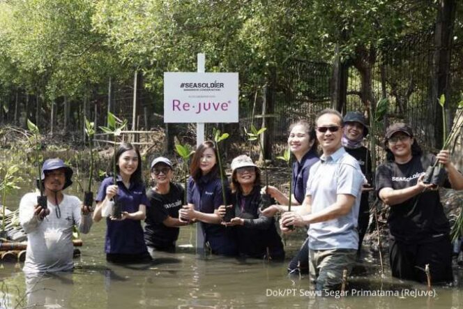 
					Rejuve Tanam 2.500 Bibit Mangrove Bersama Seasoldier