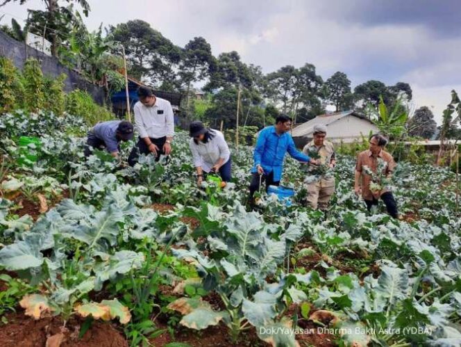 
					Program Pembinaan UMKM Pertanian di Puncak Dua Jabar