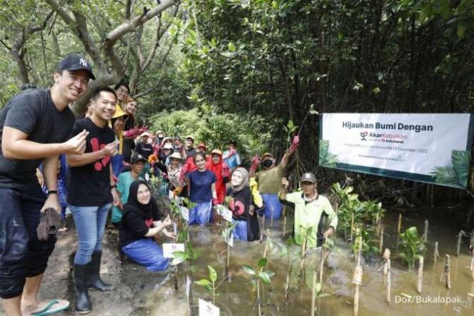 
					Bukalapak Tanam 1000 Bibit Pohon Mangrove