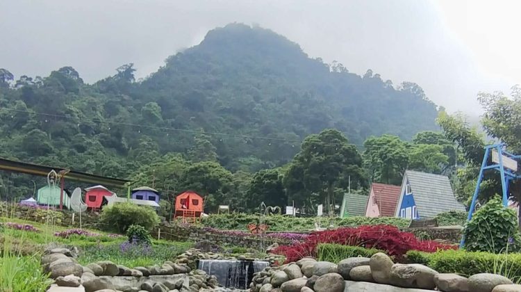 Destinasi Wisata Puncak 2 Bogor Timur Diminati Wisatawan