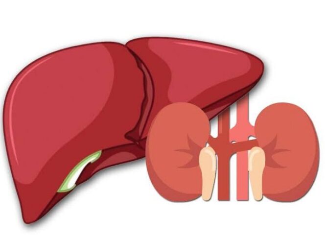 
					Ada 8 Daftar Obat Tradisional Bisa Picu Kerusakan Ginjal dan Hati