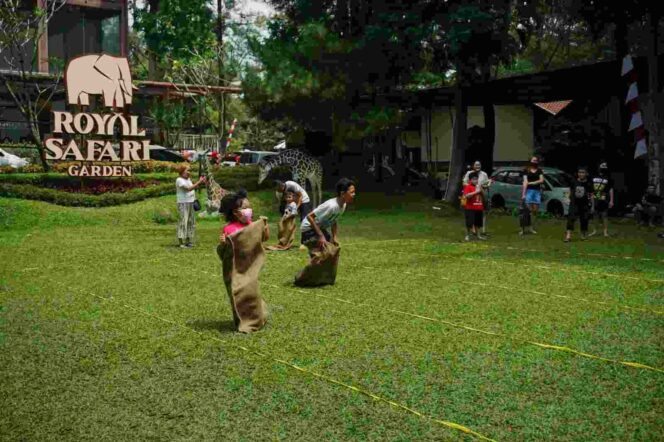 
					Rayakan HUT Kemerdekaan RI Ke-78, Royal Safari Garden Gelar Perlombaan Melibatkan Satwa