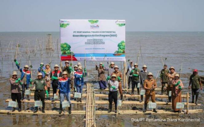 
					Pertamina Trans Kontinental Gelar Green Mangrove Action Program di Makassar