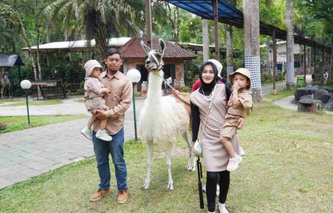 
					Royal Safari Garden Memperingati Hari Satwa Sedunia