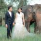 Photo Pre Wedding Unik Bersama Satwa di Royal Safari Garden