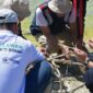 Pelindo Lanjutkan Pelestarian Lingkungan di Raja Ampat