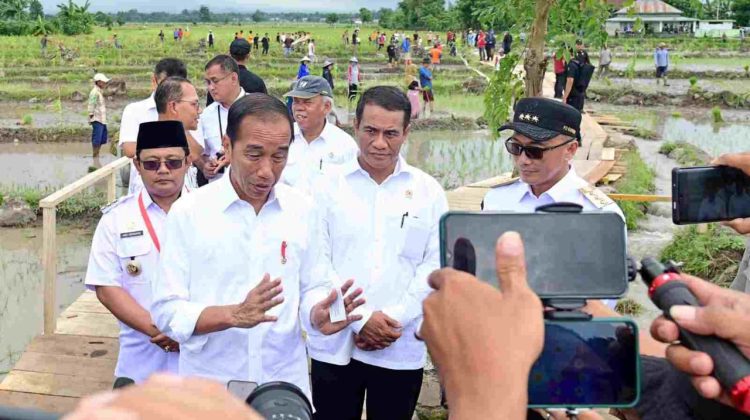 Pembangunan IKN Tingkatkan Potensi Ekonomi Pertanian di Sekitar Kalimantan