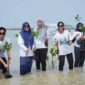 Nusantara Regas Tanam 2000 Mangrove dan Aksi Bersih Pantai
