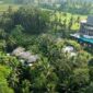 Abisena Ubud Perayaan Warisan, Keanggunan dan Panca Indera
