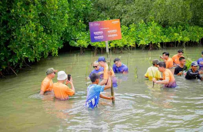 
					Harris Hotels Bekasi-Jakarta Gelar Penanaman Mangrove di Muara Gembong Peringati WEED 2025