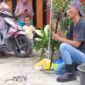 Panakawan Evakuasi 13 Anak Ular dan 1 Induk Ular Phyton dari Pemukiman Warga