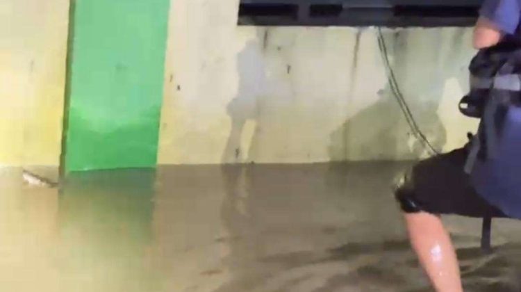 Disdamkarmat Kota Bekasi Evakuasi 10 Ekor Ular Saat Banjir