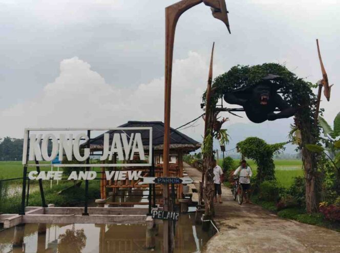 
					Kong Java Cafe Ambarawa Santap Lezat di Tengah Sawah