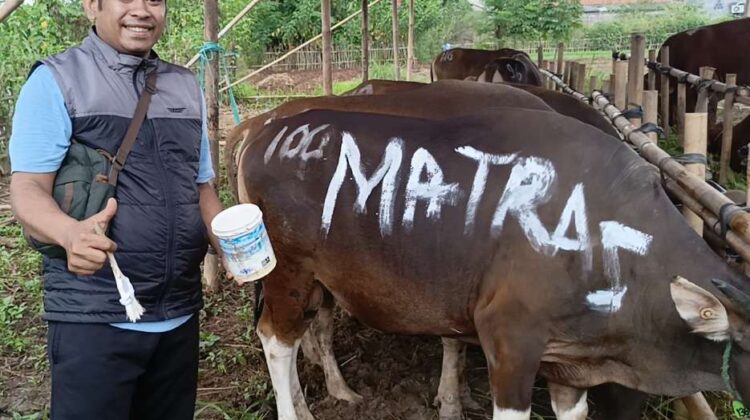 Berbagi Kebahagiaan, MatrasNews Serahkan Hewan Kurban ke Panti Yatim