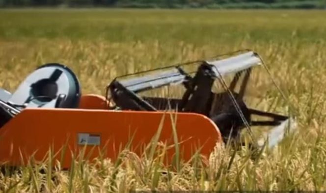 
					Menkeu Alokasikan Rp16 T untuk Dukung Koperasi Merah Putih