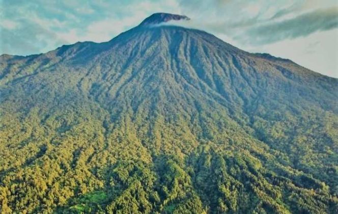 
					ESDM Jateng Tegaskan Foto Viral Gundul di Lereng Gunung Slamet Bukan Tambang Ilegal