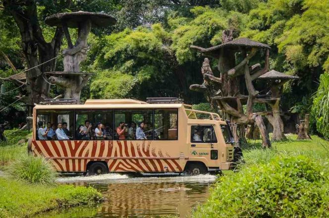 
					FOTO: Taman Safari Bali 