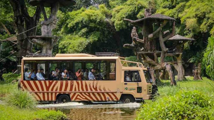 FOTO: Taman Safari Bali 