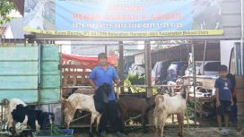 FOTO: Matsahi (61), yang akrab disapa Bang Ayy Penjual Hewan Kurban