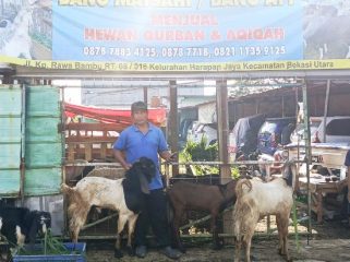 FOTO: Matsahi (61), yang akrab disapa Bang Ayy Penjual Hewan Kurban