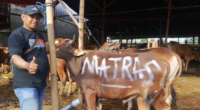FOTO: PT Matras Media Kreasi, melalui dua produk medianya MatrasNews dan Majalah Matras, menyalurkan satu ekor sapi