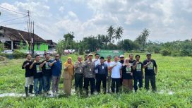 FOTO: Petani Milenial Sleman menggandeng Indomaret dan Fakultas Pertanian UGM mengembangkan program hortikultura modern