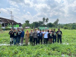 FOTO: Petani Milenial Sleman menggandeng Indomaret dan Fakultas Pertanian UGM mengembangkan program hortikultura modern