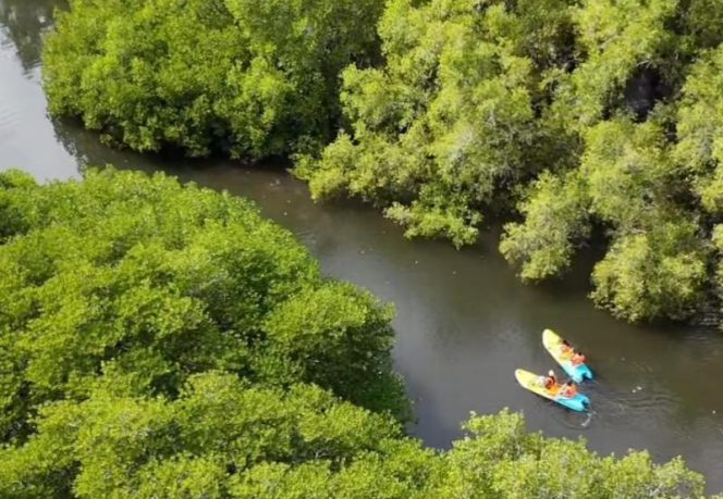 
					Kemenhut Tegaskan Pemanfaatan Wisata Alam di Taman Nasional Bali Barat Sesuai Prosedur Perizinan